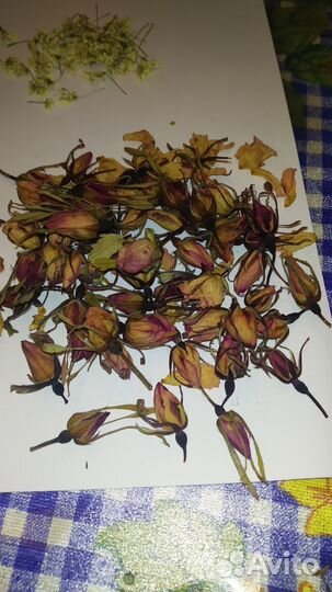 Цветы. Сухоцветы для творчества