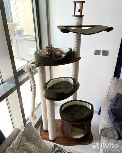 Когтеточка