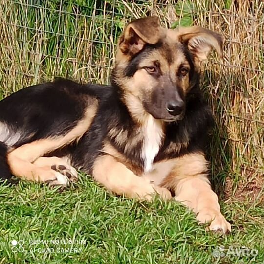 Пять мальчиков братья