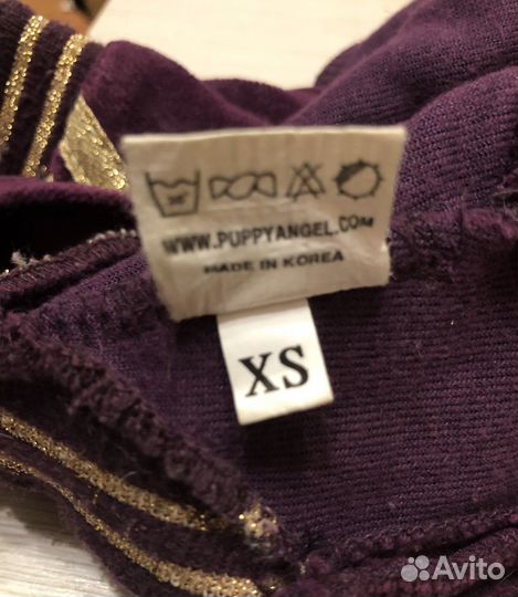 Одежда для маленьких собак xs