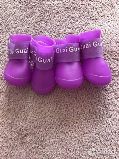 Новые сапожки для маленькой собаки (4,3х3,3)