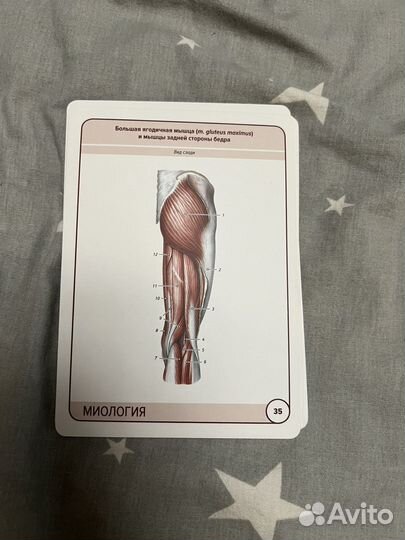 Карточки Сапина по Миологии