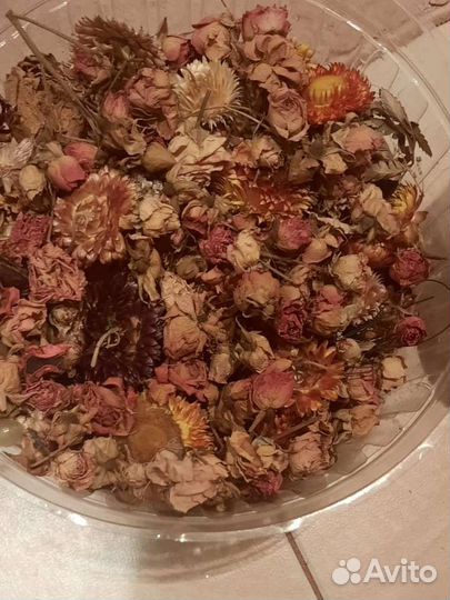 Сухоцветы для творчества