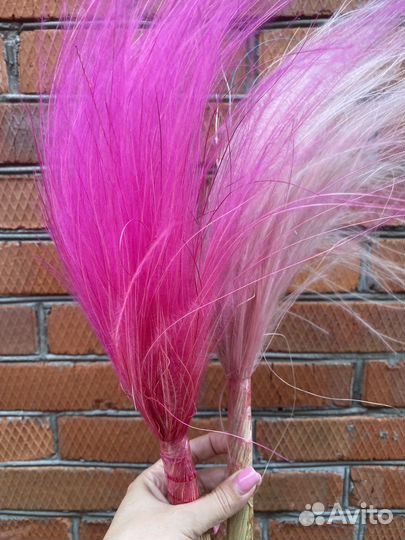 Суоцветы ковыль