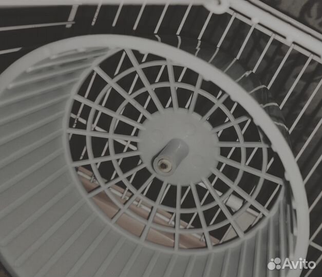 За вкусняшки хомяк с клеткой домиком