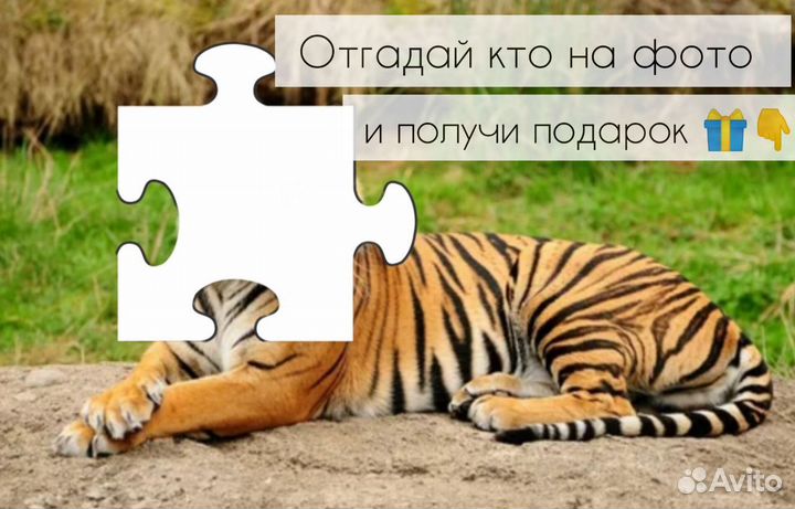 Воздушные шары с гелием