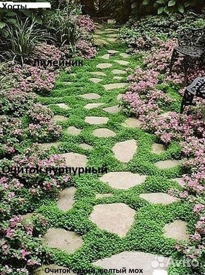 Дорожка в саду № 124