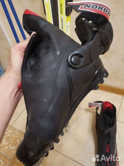 Лыжи беговые Fischer ls skate