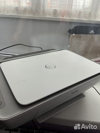 Принтер hp