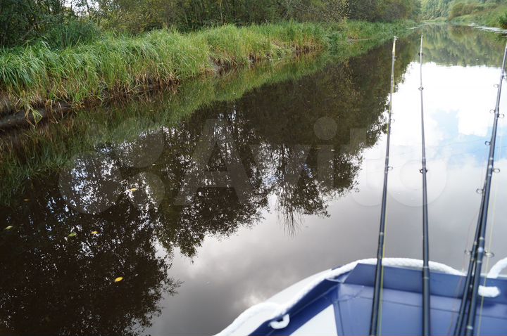 Участок 99 сот. (СНТ, ДНП)