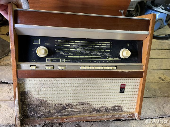 Радиолла Ригонда