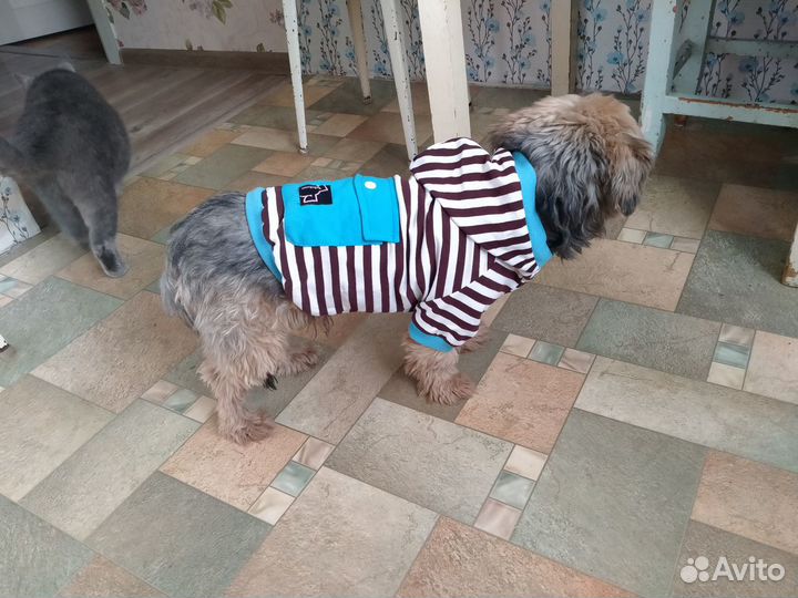 Комбинезон для маленькой собаки (для мальчика)