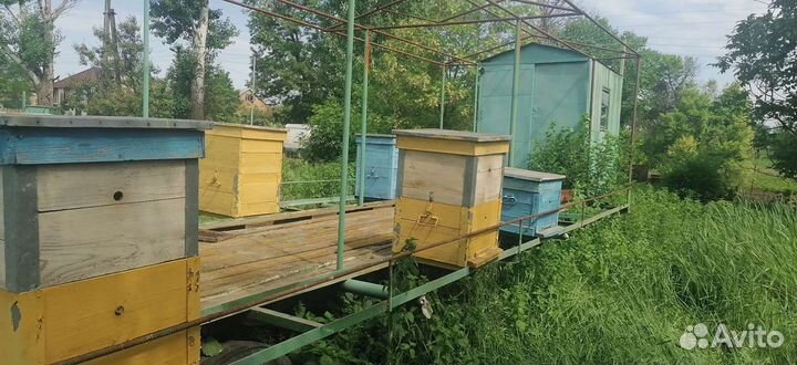 Улей для пчел