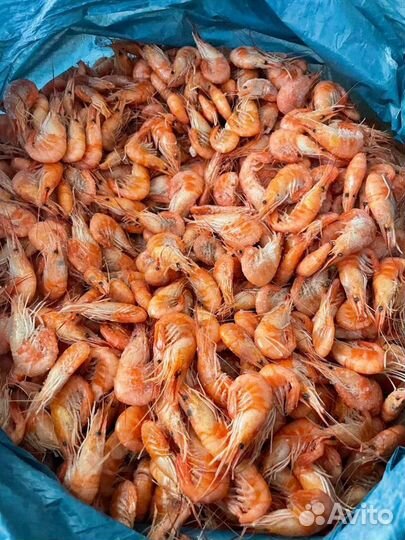Креветки оптом