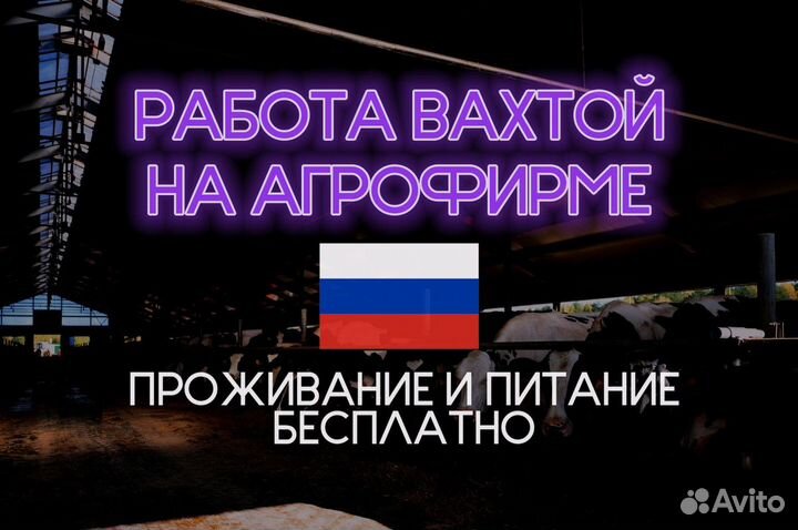 Разнорабочий на агрофирму без опыта