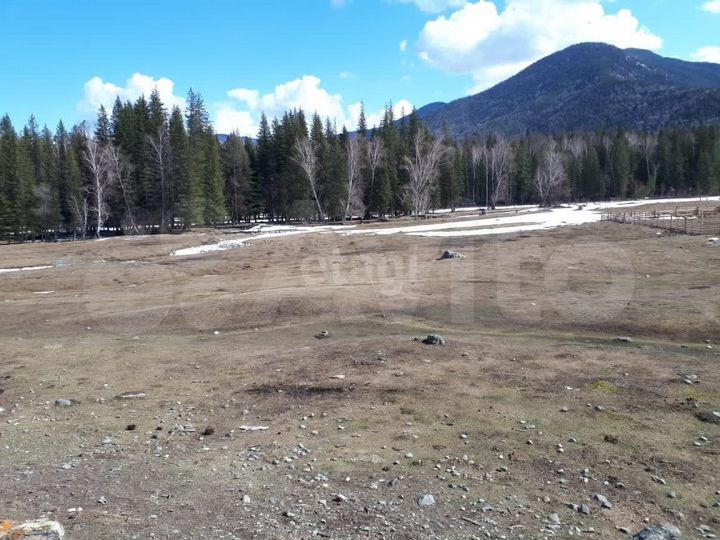 Участок 20 сот. (ИЖС)