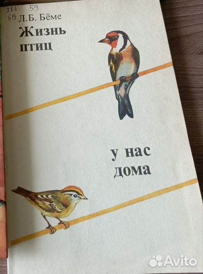 Книги о птицах