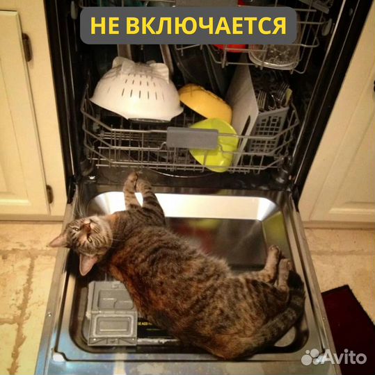 Ремонт посудомоечных машин профессиональным мастер