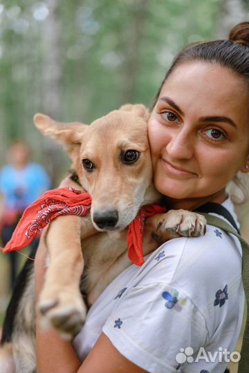 Ушастик Клёпа - милейший щенок