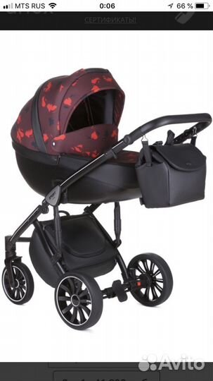 Коляска anex sport