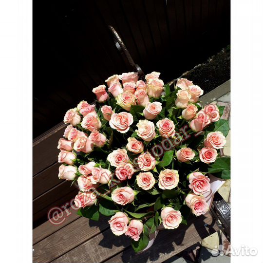 Букет 51 роза с доставкой Краснодар