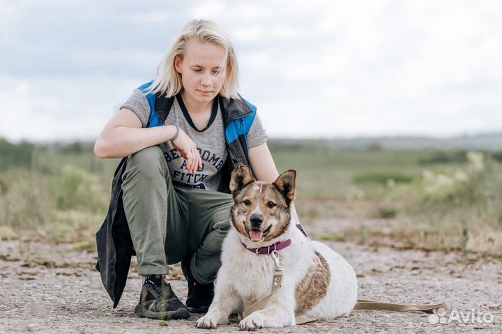 Великолепный пёсик Тоша