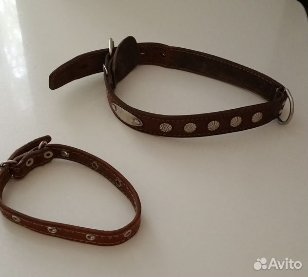 Ошейник для собак