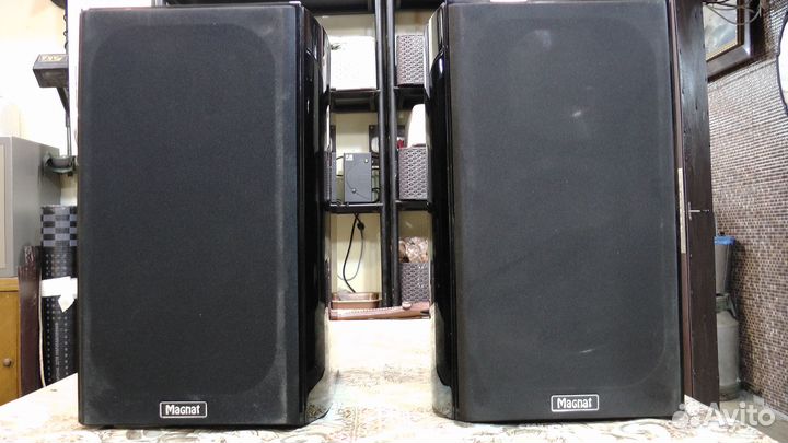 Magnat quantum 1003s