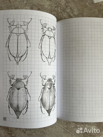 Книга рабочая тетрадь Творческий курс по рисованию