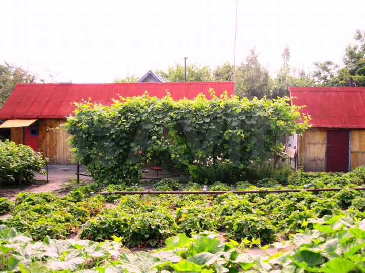 Дача 20 м² на участке 15 сот.