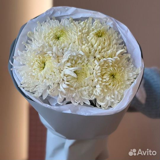 Стойкий букет из одноголовой хризантемы