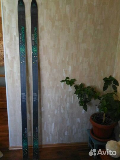 Беговые лыжи