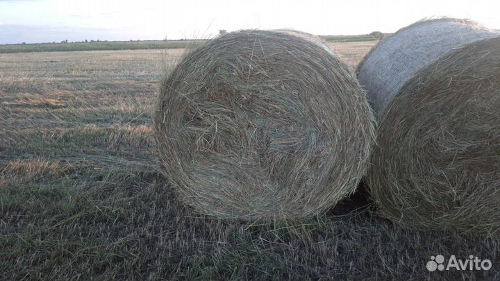 Сено с доставкой