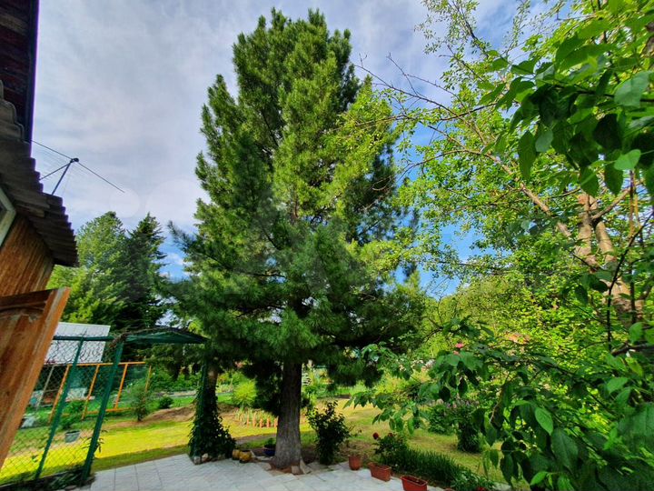 Дом 140 м² на участке 13 сот.