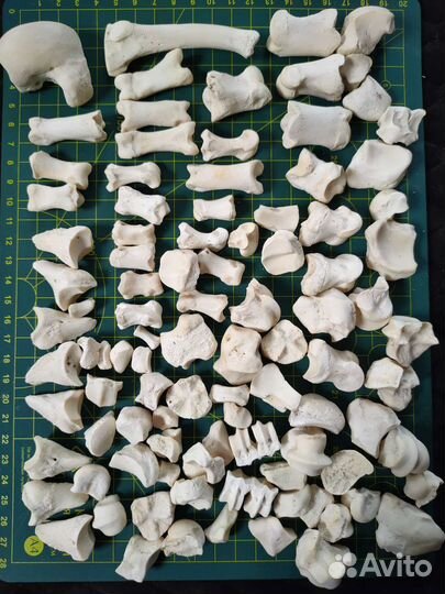 Кости набор