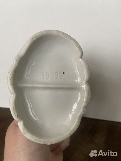 Попугаи Германия