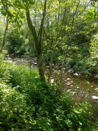 Участок 10 сот. (СНТ, ДНП)