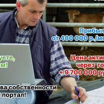 Инвестиции в сельхоз бизнес Афины, Афины
