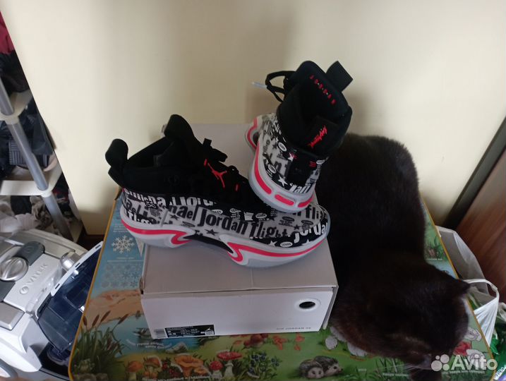 Баскетбольные кроссовки jordan 36 оригинал