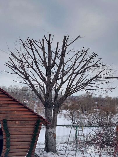 Мастер на час