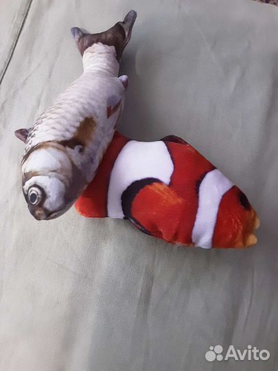 Рыбки для котят