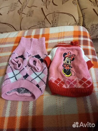 Одежда для маленьких собак