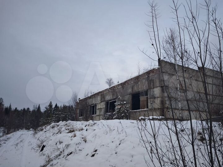 Участок 52 сот. (промназначения)