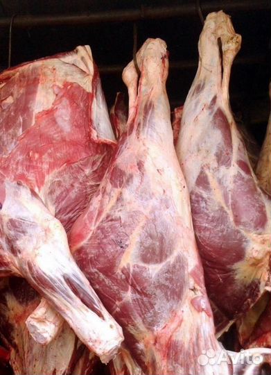 Мясо говядина