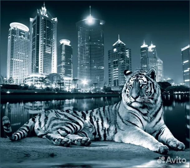 Фотообои 3d и не только