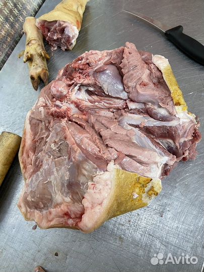 Мясо свинина домашняя