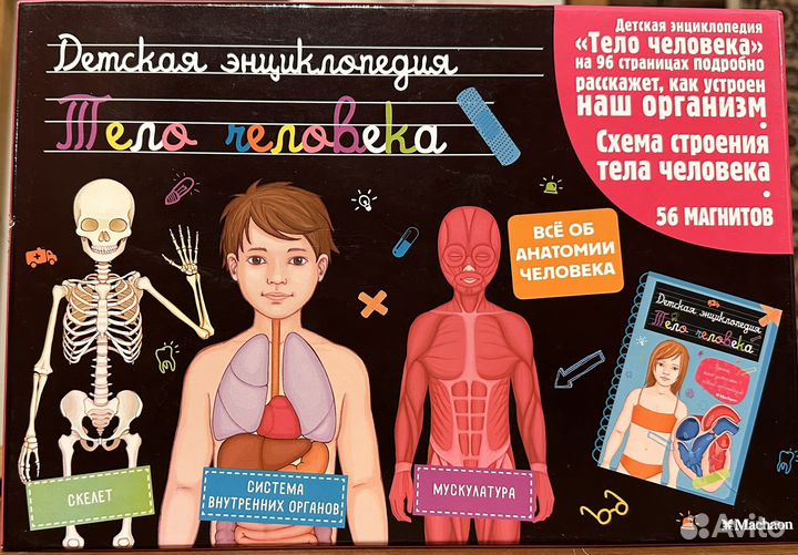 Тело человека детская энциклопедия