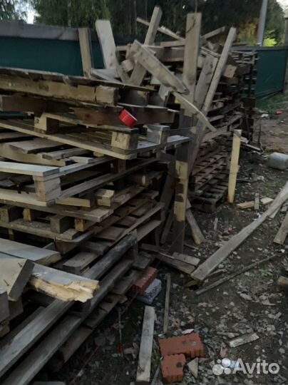 Дрова, палеты бесплатно