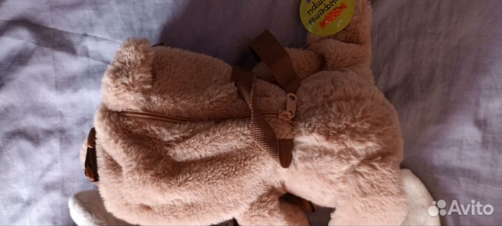 Заяц и собака