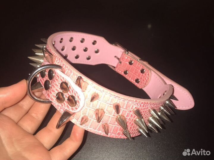 Ошейник для собак